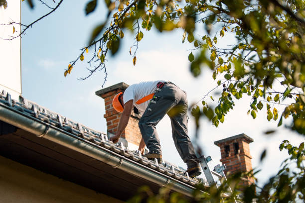 Best Metal Roofing Contractor  in Westvle, IL