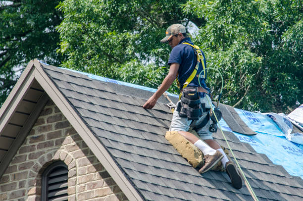Best Best Roofing Contractors  in Westvle, IL